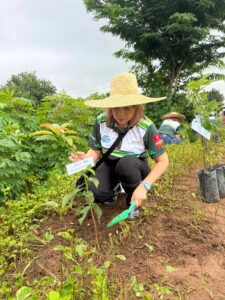 Growing Hope, Lighting the Future — GML photo 1